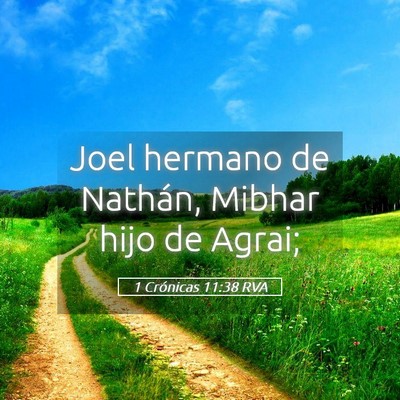 Picture 05 - 1 Crónicas 11:38 RVA - Joel hermano de Nathán, Mibhar hijo de - Bible Verse Picture