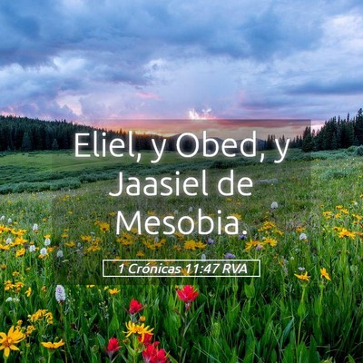 Picture 05 - 1 Crónicas 11:47 RVA - Eliel, y Obed, y Jaasiel de - Bible Verse Picture