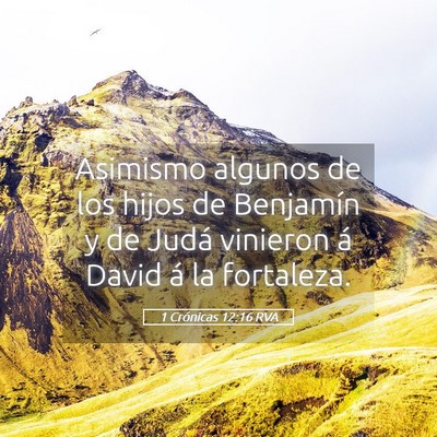 Picture 05 - 1 Crónicas 12:16 RVA - Asimismo algunos de los hijos de Benjamín y de - Bible Verse Picture