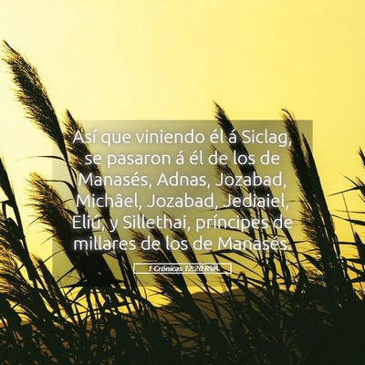 Picture 05 - 1 Crónicas 12:20 RVA - Así que viniendo él á Siclag, se pasaron á - Bible Verse Picture