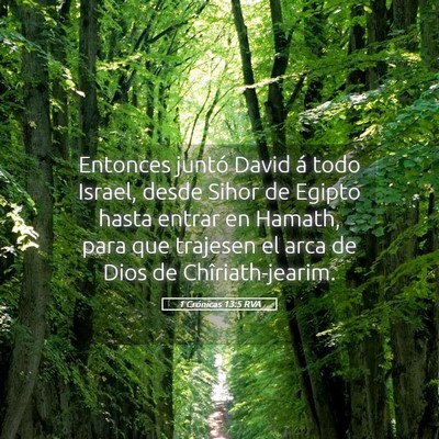 Picture 05 - 1 Crónicas 13:5 RVA - Entonces juntó David á todo Israel, desde Sihor - Bible Verse Picture
