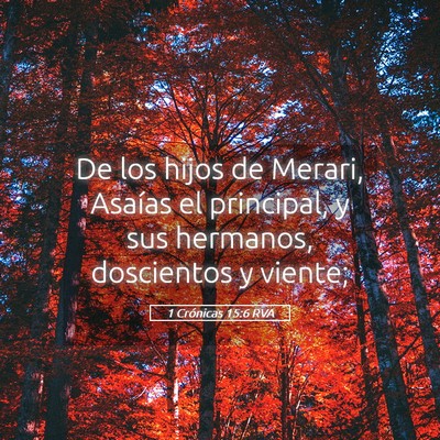 Picture 05 - 1 Crónicas 15:6 RVA - De los hijos de Merari, Asaías el principal, y - Bible Verse Picture