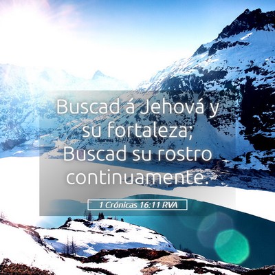 Picture 05 - 1 Crónicas 16:11 RVA - Buscad á Jehová y su fortaleza; Buscad su - Bible Verse Picture