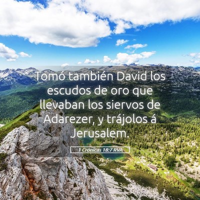 Picture 05 - 1 Crónicas 18:7 RVA - Tomó también David los escudos de oro que - Bible Verse Picture