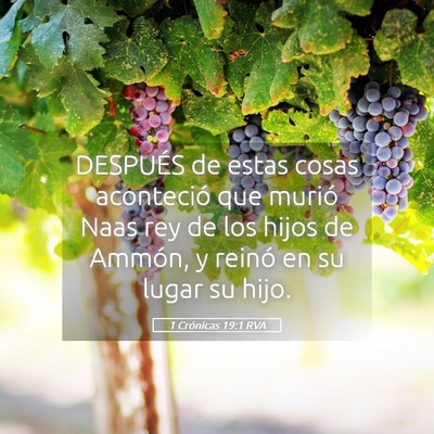 Picture 05 - 1 Crónicas 19:1 RVA - DESPUÉS de estas cosas aconteció que murió - Bible Verse Picture