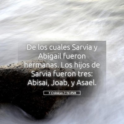 Picture 05 - 1 Crónicas 2:16 RVA - De los cuales Sarvia y Abigail fueron hermanas. - Bible Verse Picture