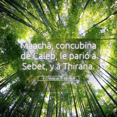 Picture 05 - 1 Crónicas 2:48 RVA - Maachâ, concubina de Caleb, le parió á Sebet, - Bible Verse Picture