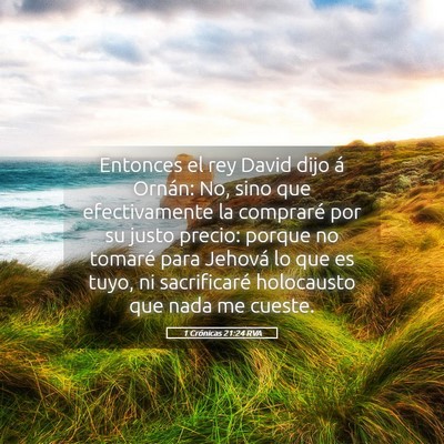 Picture 05 - 1 Crónicas 21:24 RVA - Entonces el rey David dijo á Ornán: No, sino - Bible Verse Picture