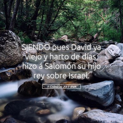 Picture 05 - 1 Crónicas 23:1 RVA - SIENDO pues David ya viejo y harto de días, hizo - Bible Verse Picture