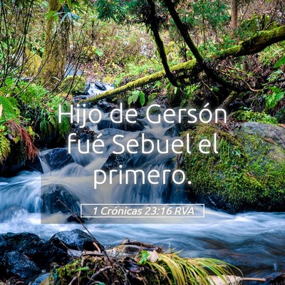 Picture 05 - 1 Crónicas 23:16 RVA - Hijo de Gersón fué Sebuel el - Bible Verse Picture