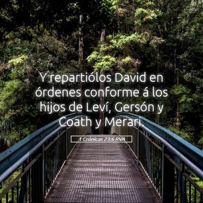 Picture 05 - 1 Crónicas 23:6 RVA - Y repartiólos David en órdenes conforme á los - Bible Verse Picture
