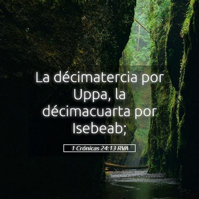 Picture 05 - 1 Crónicas 24:13 RVA - La décimatercia por Uppa, la décimacuarta por - Bible Verse Picture