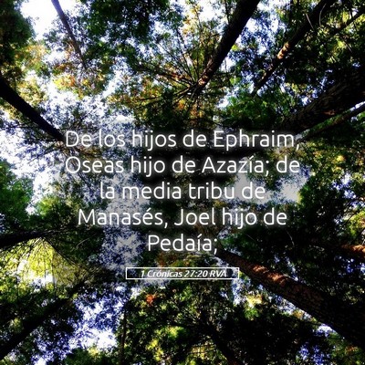 Picture 05 - 1 Crónicas 27:20 RVA - De los hijos de Ephraim, Oseas hijo de Azazía; - Bible Verse Picture