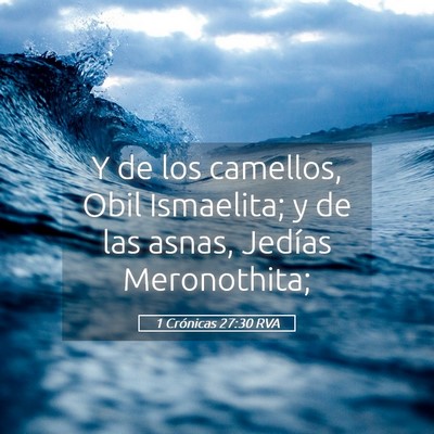 Picture 05 - 1 Crónicas 27:30 RVA - Y de los camellos, Obil Ismaelita; y de las - Bible Verse Picture