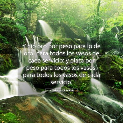 Picture 05 - 1 Crónicas 28:14 RVA - Y dió oro por peso para lo de oro, para todos - Bible Verse Picture