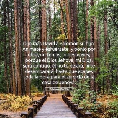 Picture 05 - 1 Crónicas 28:20 RVA - Dijo más David á Salomón su hijo: Anímate y - Bible Verse Picture