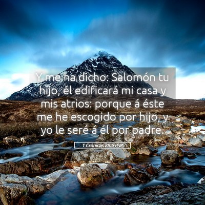 Picture 05 - 1 Crónicas 28:6 RVA - Y me ha dicho: Salomón tu hijo, él edificará - Bible Verse Picture