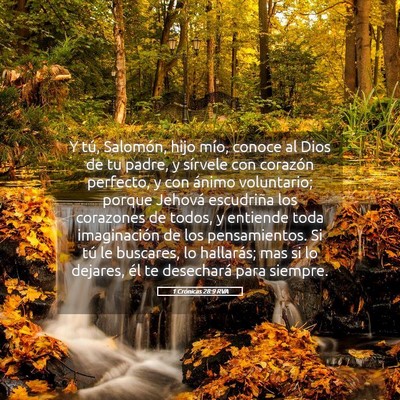 Picture 05 - 1 Crónicas 28:9 RVA - Y tú, Salomón, hijo mío, conoce al Dios de tu - Bible Verse Picture