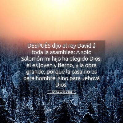Picture 05 - 1 Crónicas 29:1 RVA - DESPUÉS dijo el rey David á toda la asamblea: A - Bible Verse Picture
