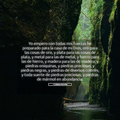 Picture 05 - 1 Crónicas 29:2 RVA - Yo empero con todas mis fuerzas he preparado para - Bible Verse Picture