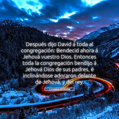 Picture 05 - 1 Crónicas 29:20 RVA - Después dijo David á toda al congregación: - Bible Verse Picture