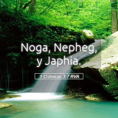 Picture 05 - 1 Crónicas 3:7 RVA - Noga, Nepheg, y - Bible Verse Picture