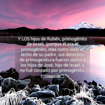 Picture 05 - 1 Crónicas 5:1 RVA - Y LOS hijos de Rubén, primogénito de Israel, - Bible Verse Picture
