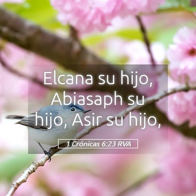 Picture 05 - 1 Crónicas 6:23 RVA - Elcana su hijo, Abiasaph su hijo, Asir su - Bible Verse Picture
