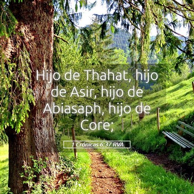 Picture 05 - 1 Crónicas 6:37 RVA - Hijo de Thahat, hijo de Asir, hijo de Abiasaph, - Bible Verse Picture
