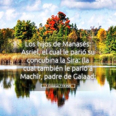Picture 05 - 1 Crónicas 7:14 RVA - Los hijos de Manasés: Asriel, el cual le parió - Bible Verse Picture