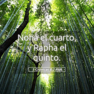 Picture 05 - 1 Crónicas 8:2 RVA - Noha el cuarto, y Rapha el - Bible Verse Picture