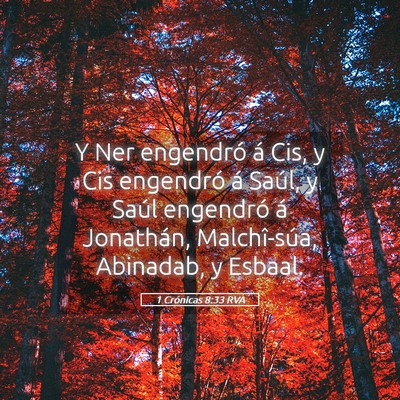 Picture 05 - 1 Crónicas 8:33 RVA - Y Ner engendró á Cis, y Cis engendró á Saúl, - Bible Verse Picture