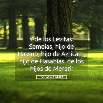 Picture 05 - 1 Crónicas 9:14 RVA - Y de los Levitas: Semeías, hijo de Hassub, hijo - Bible Verse Picture