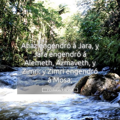 Picture 05 - 1 Crónicas 9:42 RVA - Ahaz engendró á Jara, y Jara engendró á - Bible Verse Picture