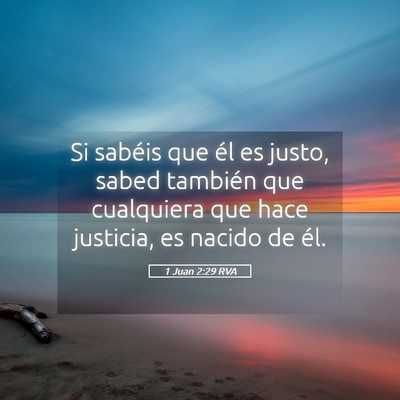 Picture 05 - 1 Juan 2:29 RVA - Si sabéis que él es justo, sabed también que - Bible Verse Picture