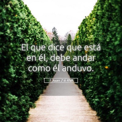 Picture 05 - 1 Juan 2:6 RVA - El que dice que está en él, debe andar como él - Bible Verse Picture