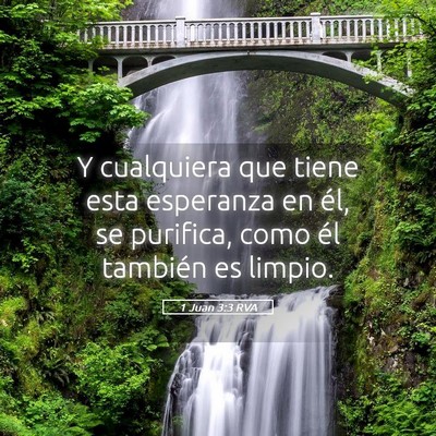 Picture 05 - 1 Juan 3:3 RVA - Y cualquiera que tiene esta esperanza en él, se - Bible Verse Picture