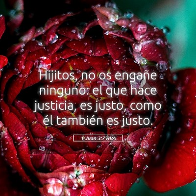 Picture 05 - 1 Juan 3:7 RVA - Hijitos, no os engañe ninguno: el que hace - Bible Verse Picture
