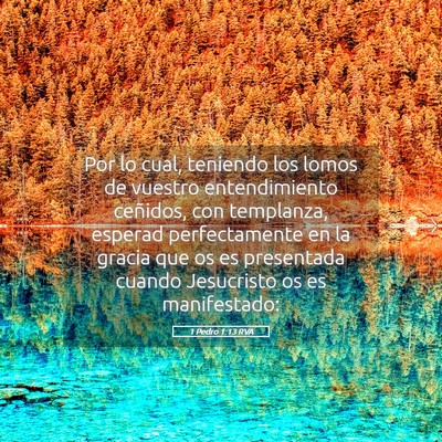 Picture 05 - 1 Pedro 1:13 RVA - Por lo cual, teniendo los lomos de vuestro - Bible Verse Picture