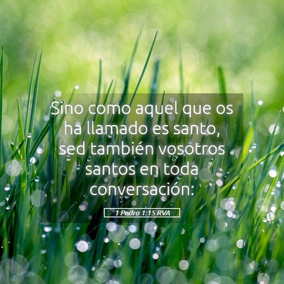Picture 05 - 1 Pedro 1:15 RVA - Sino como aquel que os ha llamado es santo, sed - Bible Verse Picture