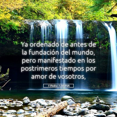Picture 05 - 1 Pedro 1:20 RVA - Ya ordenado de antes de la fundación del mundo, - Bible Verse Picture