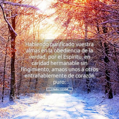 Picture 05 - 1 Pedro 1:22 RVA - Habiendo purificado vuestra almas en la - Bible Verse Picture