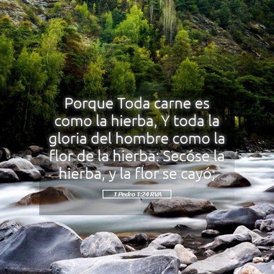Picture 05 - 1 Pedro 1:24 RVA - Porque Toda carne es como la hierba, Y toda la - Bible Verse Picture
