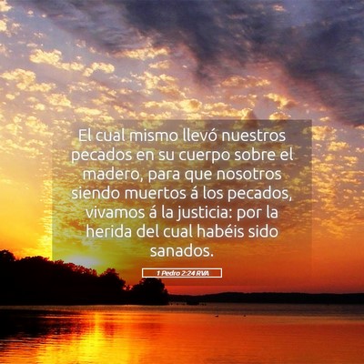 Picture 05 - 1 Pedro 2:24 RVA - El cual mismo llevó nuestros pecados en su - Bible Verse Picture