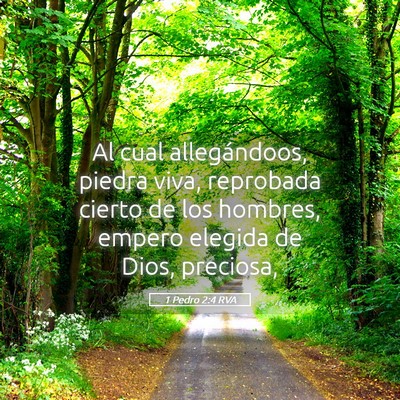 Picture 05 - 1 Pedro 2:4 RVA - Al cual allegándoos, piedra viva, reprobada - Bible Verse Picture