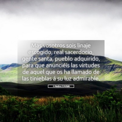 Picture 05 - 1 Pedro 2:9 RVA - Mas vosotros sois linaje escogido, real - Bible Verse Picture