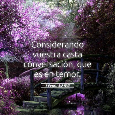 Picture 05 - 1 Pedro 3:2 RVA - Considerando vuestra casta conversación, que es - Bible Verse Picture
