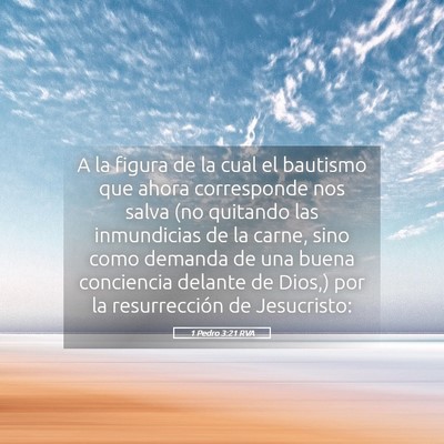 Picture 05 - 1 Pedro 3:21 RVA - A la figura de la cual el bautismo que ahora - Bible Verse Picture