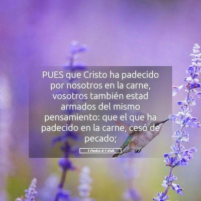 Picture 05 - 1 Pedro 4:1 RVA - PUES que Cristo ha padecido por nosotros en la - Bible Verse Picture