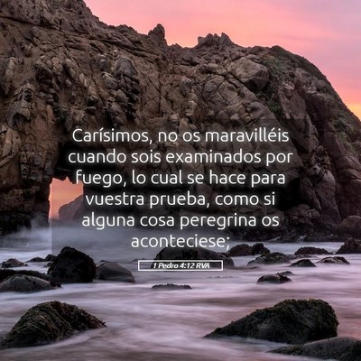 Picture 05 - 1 Pedro 4:12 RVA - Carísimos, no os maravilléis cuando sois - Bible Verse Picture